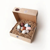Bird Egg Collection in Box, Nature Decor, Bird Egg Specimens  Moon Picnic   