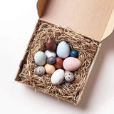 Bird Egg Collection in Box, Nature Decor, Bird Egg Specimens  Moon Picnic   