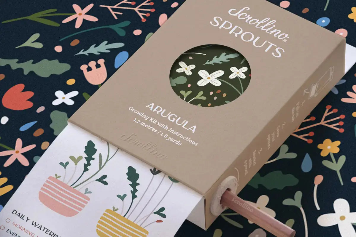 Scrollino Sprouts - Arugula Plant Gardening Kit  Scrollino   