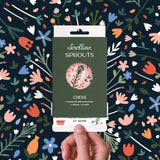 Scrollino Sprouts - Cress Plant Gardening Kit  Scrollino   