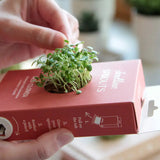 Scrollino Sprouts - Red Clover Plant Gardening Kit  Scrollino   