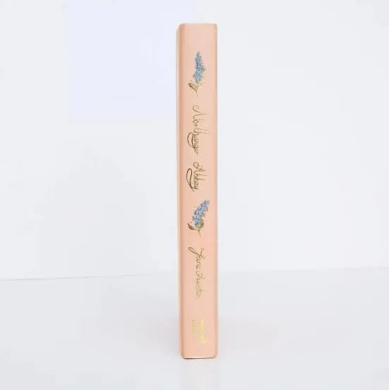 Northanger Abbey Book | Wordsworth Collector's Edition  Wordsworth Classics   